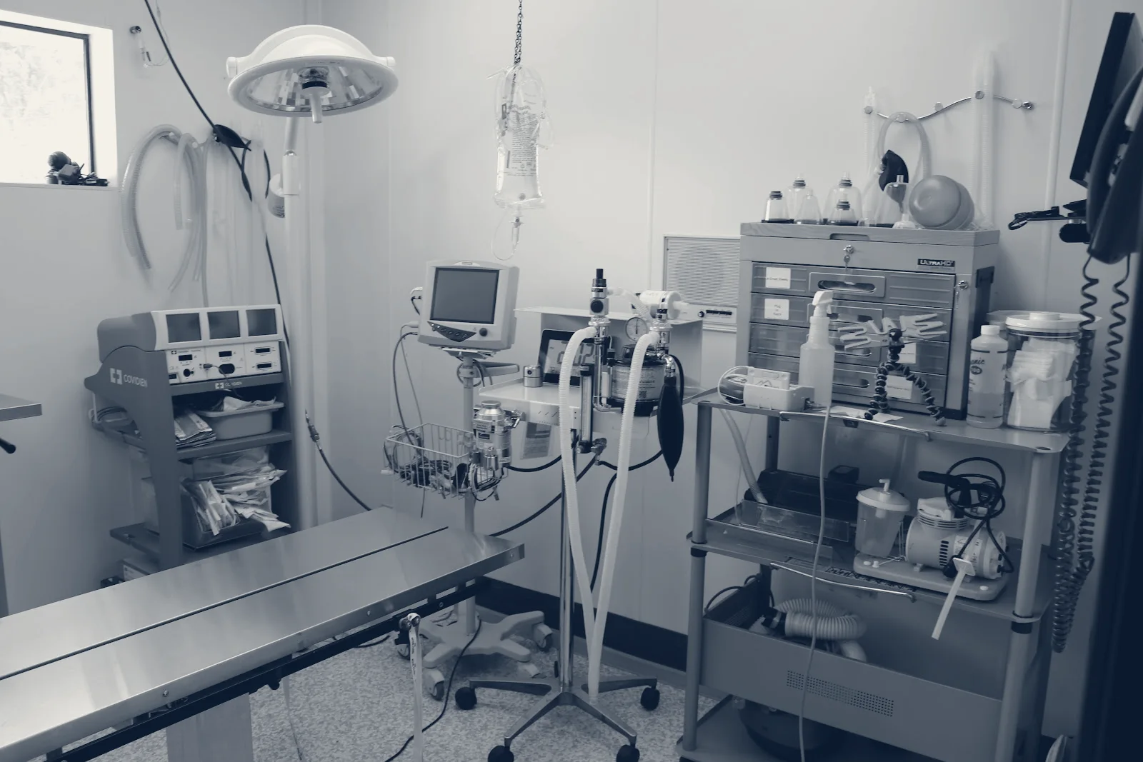 AM/PM Veterinary Hospital — Yorba Linda, California
