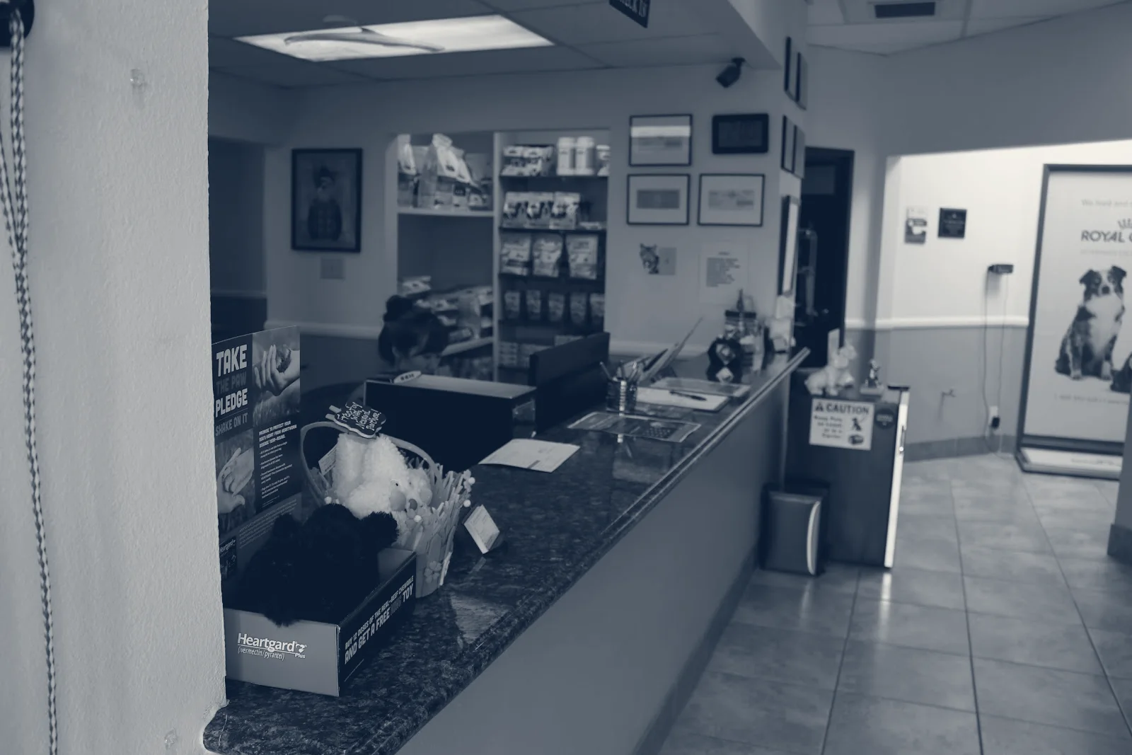 AM/PM Veterinary Hospital — Yorba Linda, California