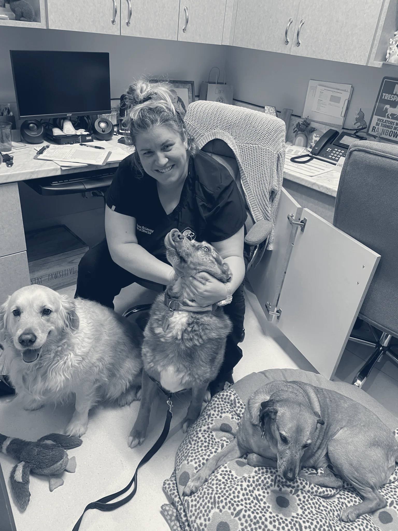 5 Points Companion Animal Hospital — Huntington Beach, California