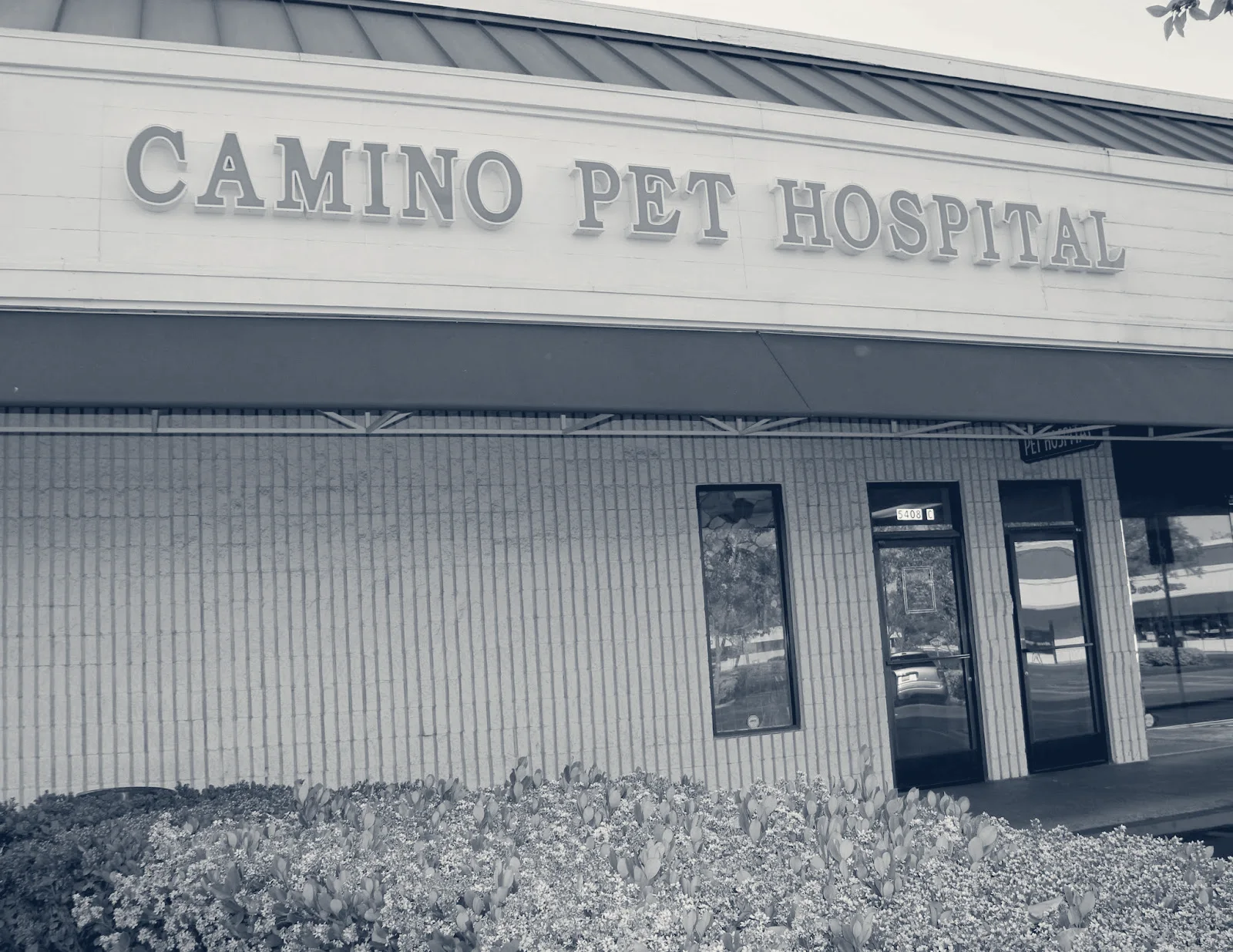 Camino Pet Hospital — Irvine, California