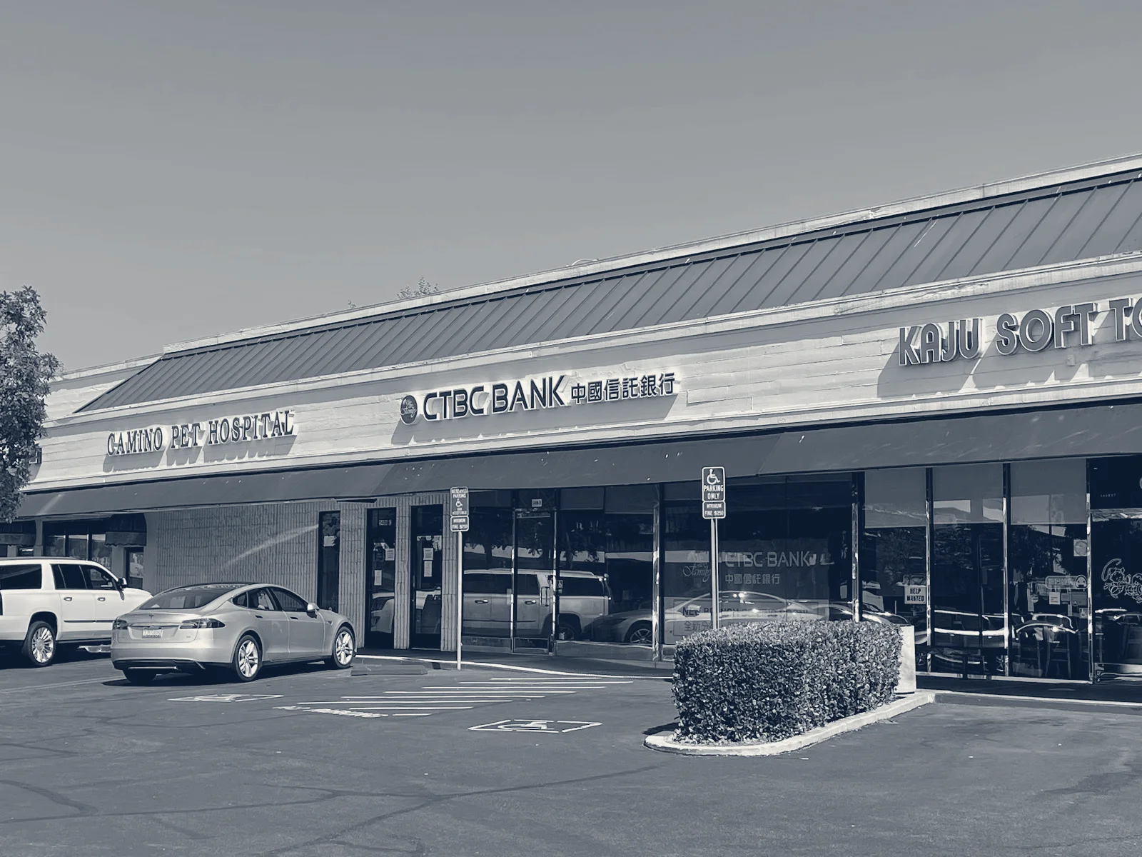 Camino Pet Hospital — Irvine, California