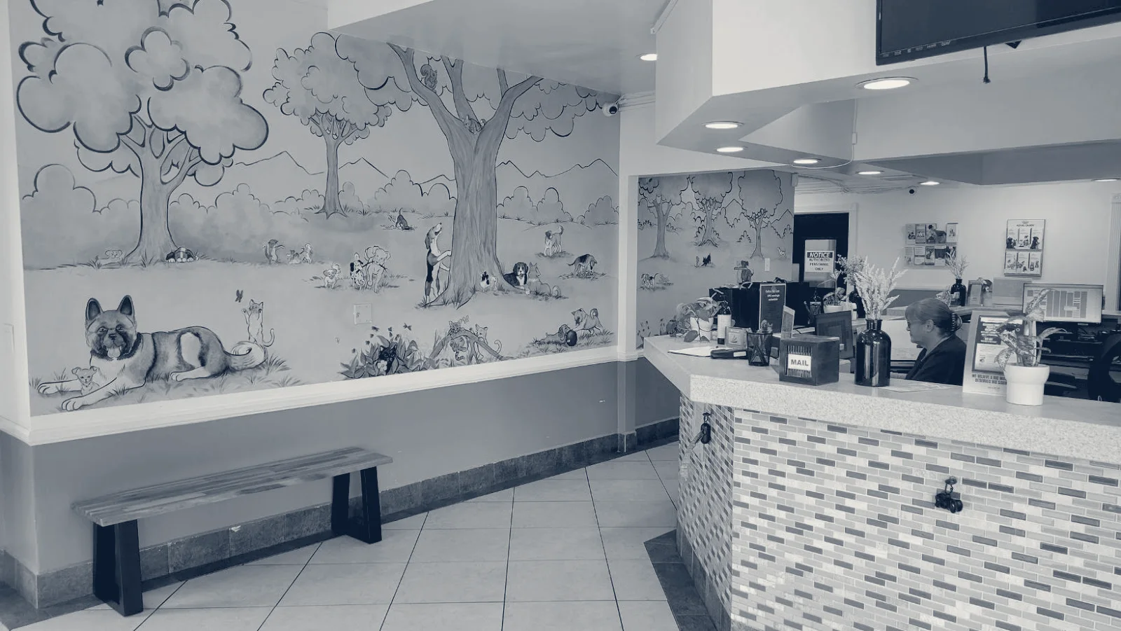 Pico Rivera Animal Hospital — Pico Rivera, California