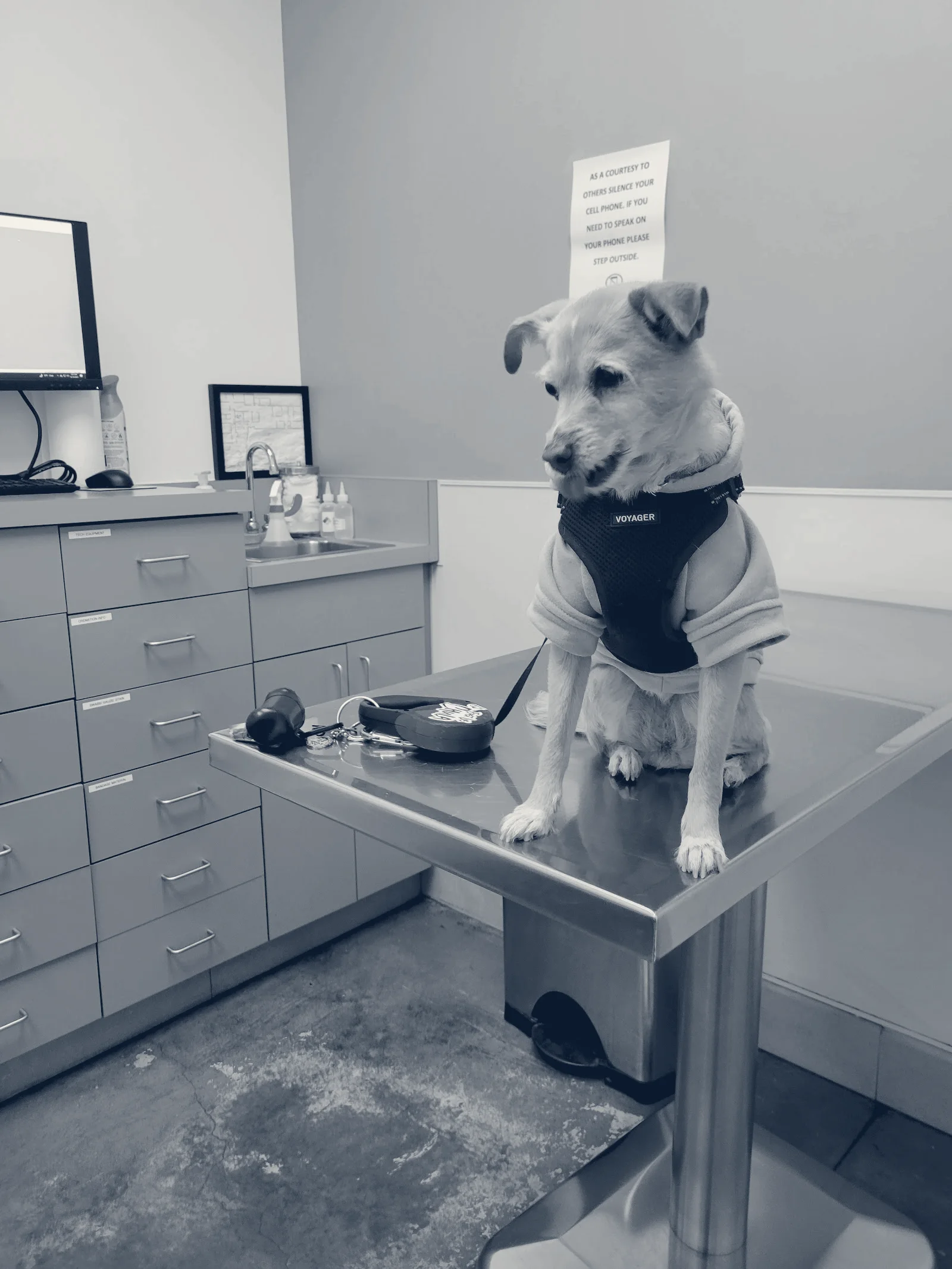 Veterinary Healthcare Center — Monterey Park, California