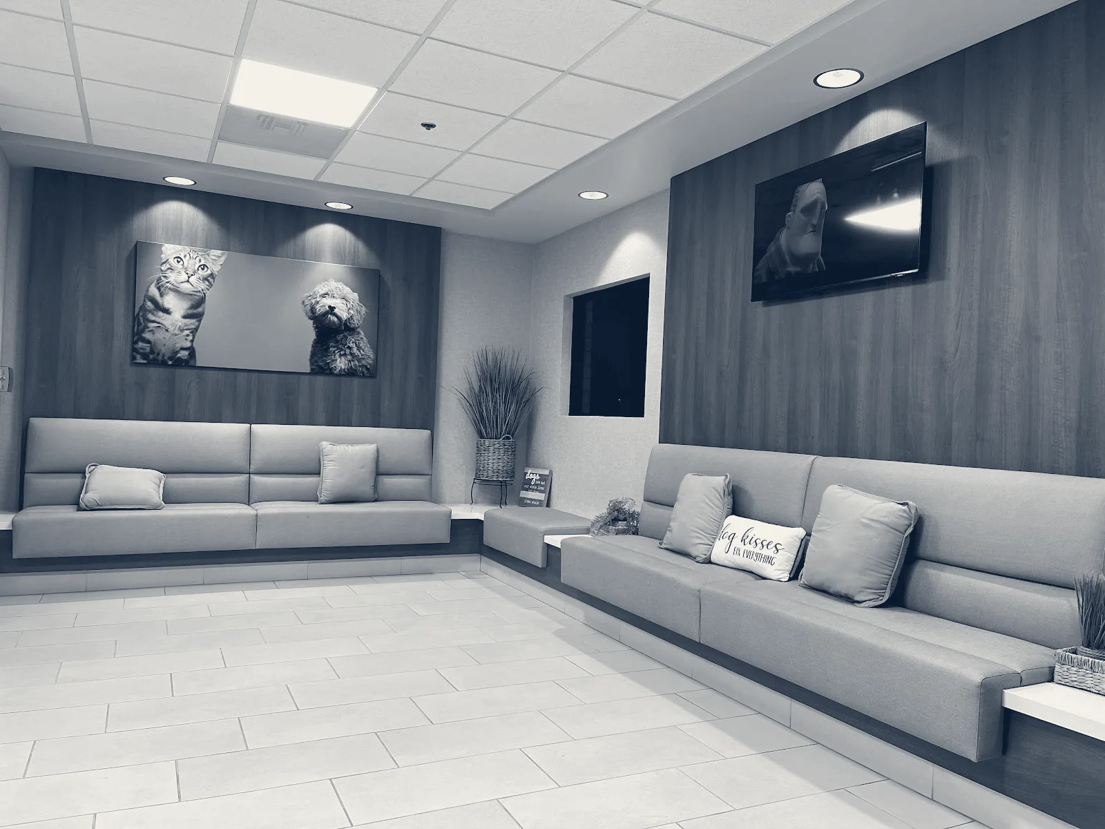Inland Valley Veterinary Specialists & Emergency Center — Upland, California
