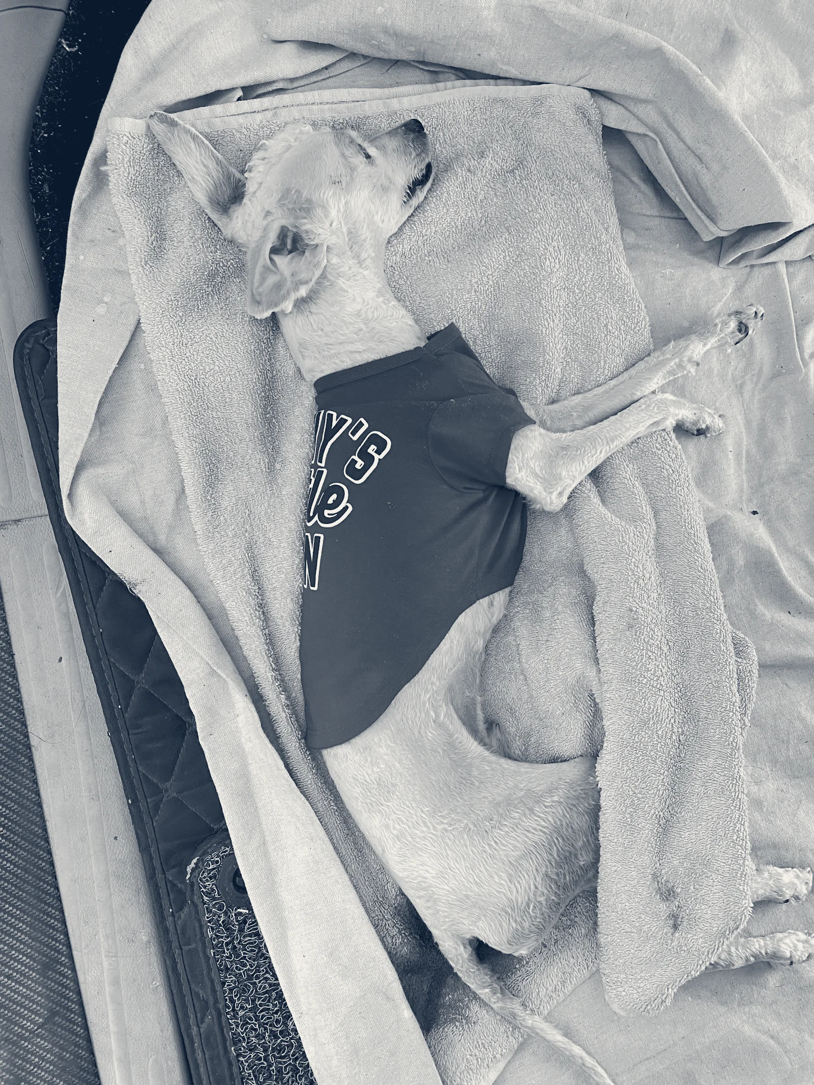 Inland Valley Veterinary Specialists & Emergency Center — Upland, California