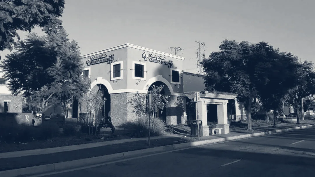 Loving Hands Animal Hospital, Inc — Chino, California