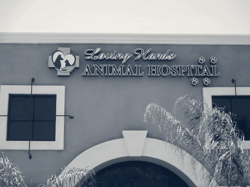 Loving Hands Animal Hospital, Inc — Chino, California