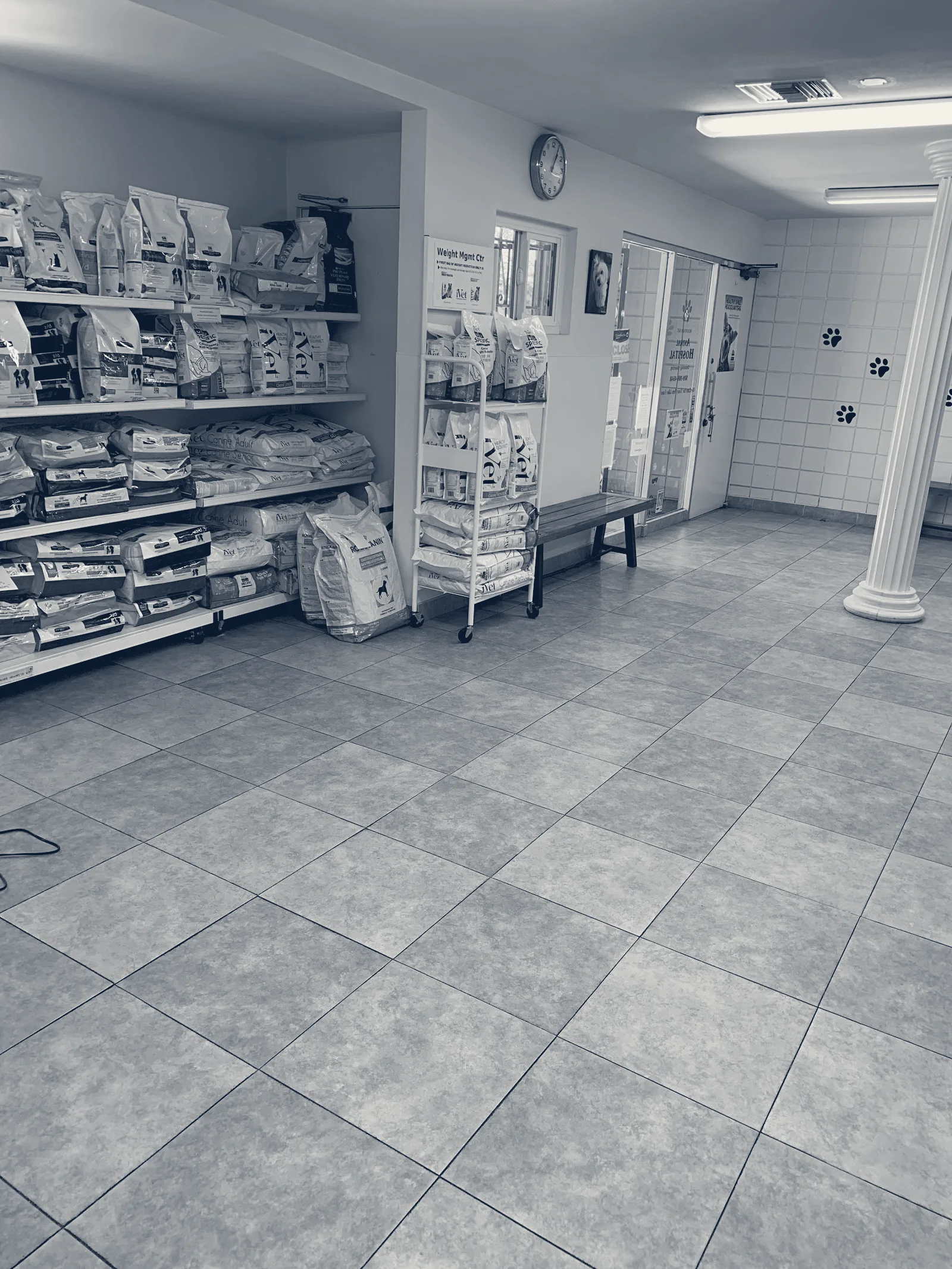 Mountain Avenue Animal Hospital — Ontario, California