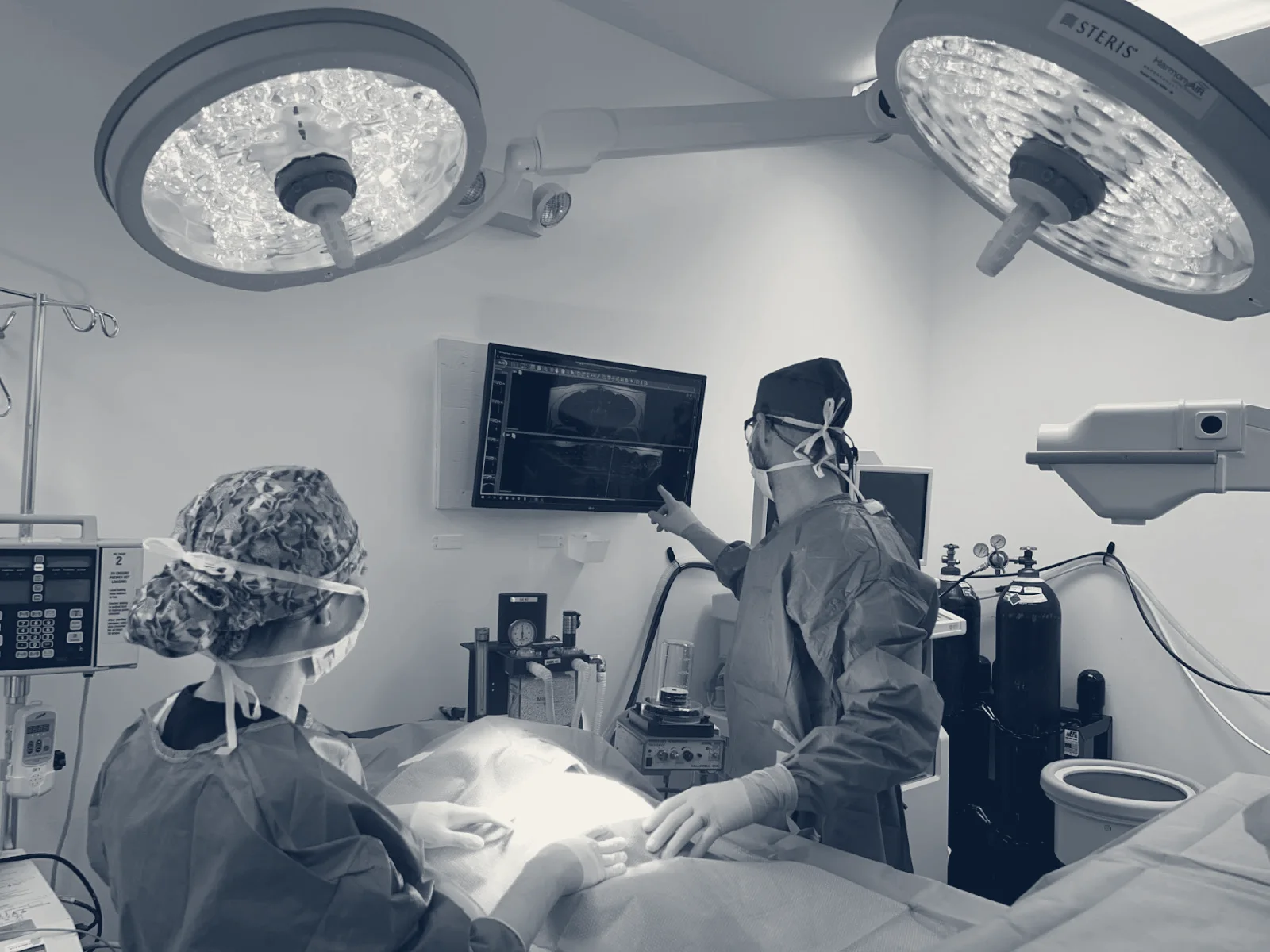 VCA California Veterinary Specialists-Ontario — Ontario, California