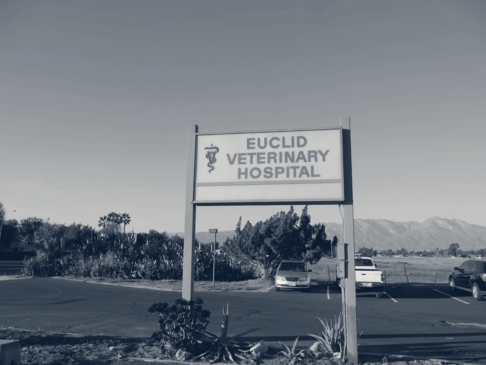 Euclid Veterinary Hospital — Ontario, California