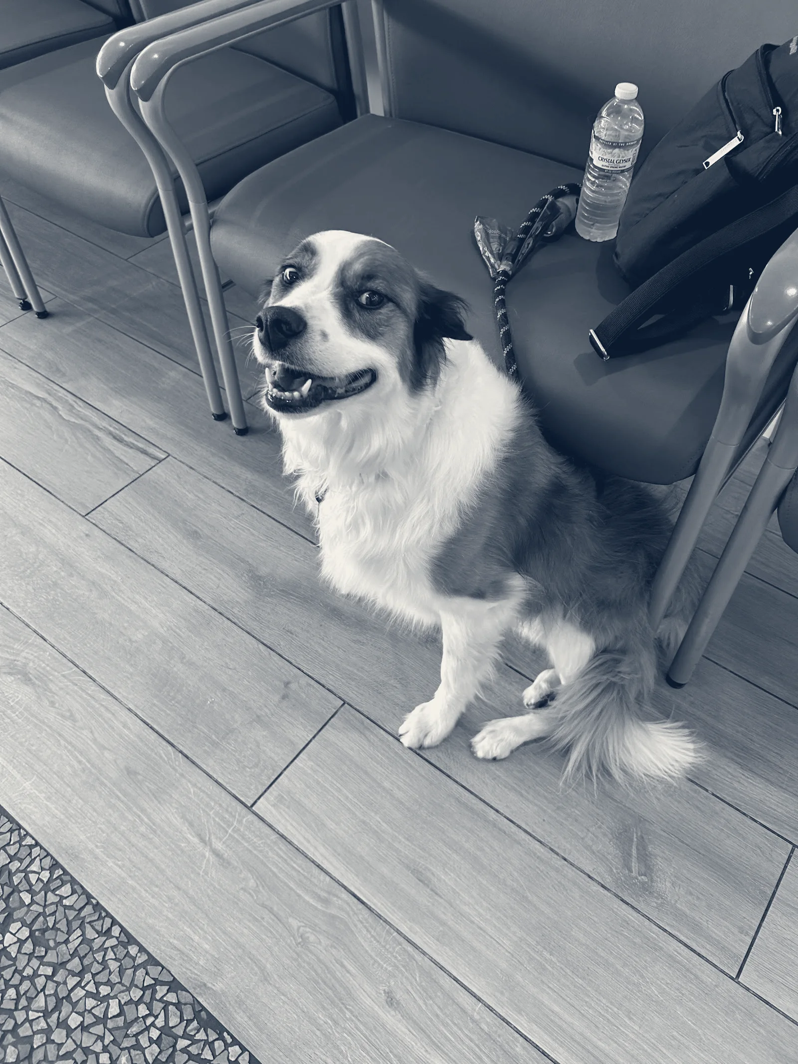 Pacific CARE Pet Emergency & Specialty — Irvine, California