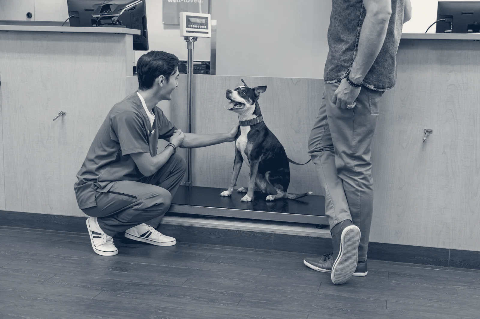 Banfield Pet Hospital — Chino, California