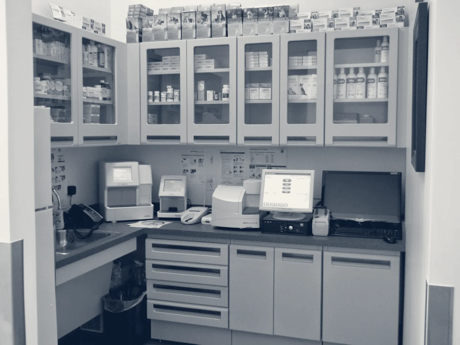 Quail Animal Hospital — Irvine, California