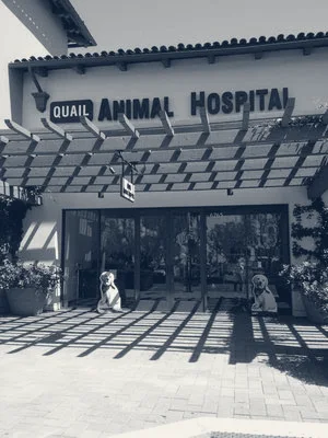 Quail Animal Hospital — Irvine, California