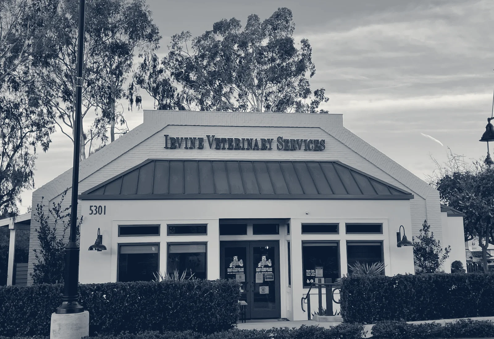 VCA Irvine University Park Animal Hospital — Irvine, California