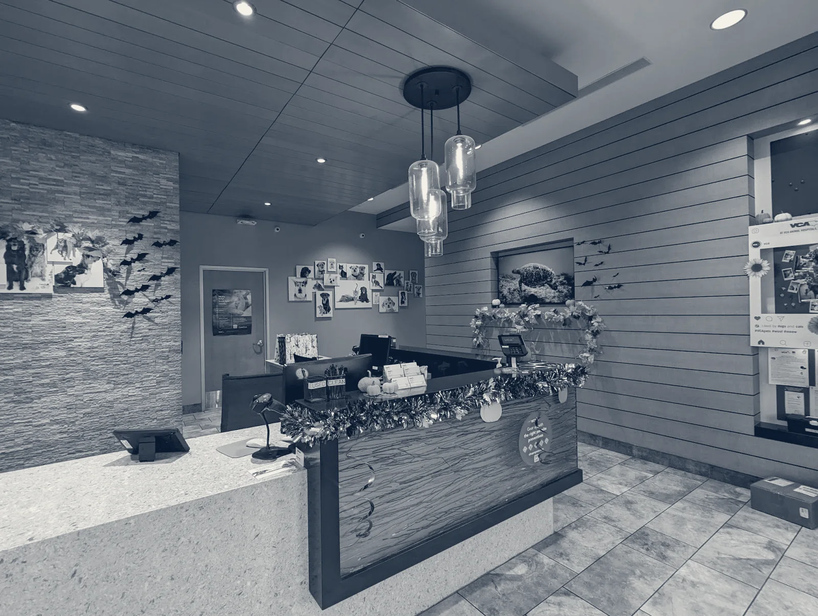 VCA Irvine University Park Animal Hospital — Irvine, California