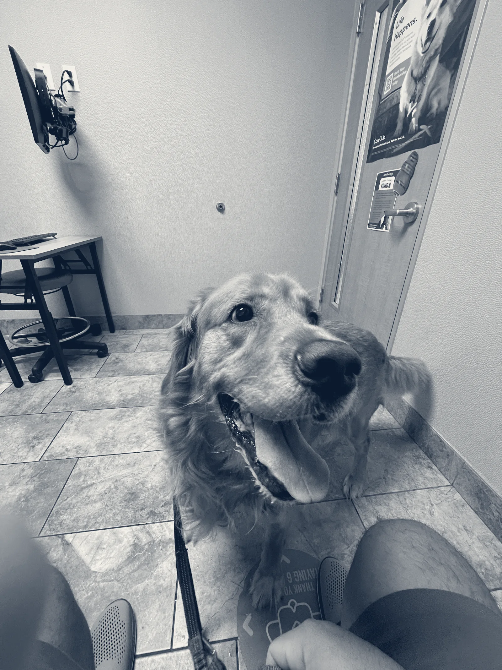 VCA Irvine University Park Animal Hospital — Irvine, California
