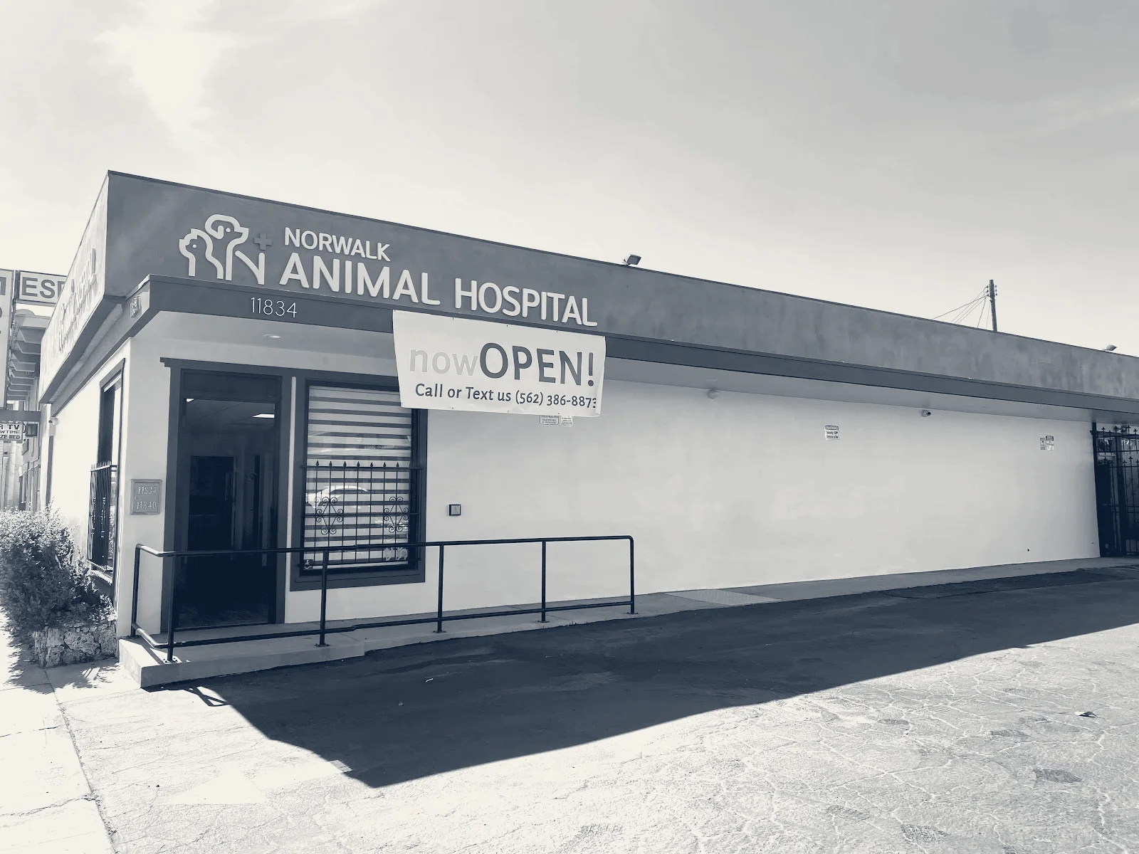 Norwalk Animal Hospital — Norwalk, California