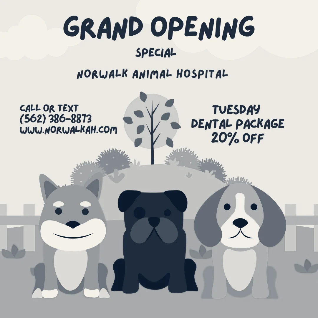 Norwalk Animal Hospital — Norwalk, California