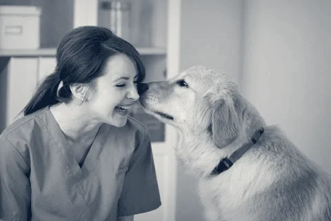 Ashton Animal Hospital — Downey, California