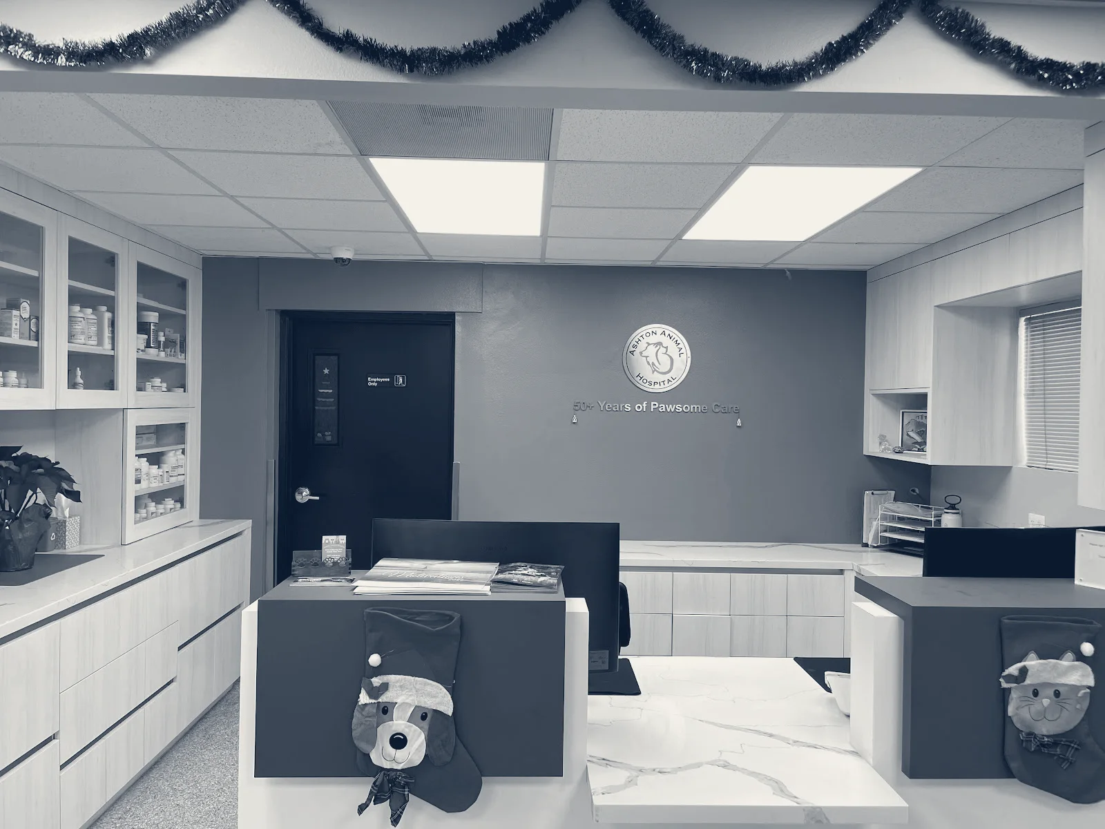 Ashton Animal Hospital — Downey, California