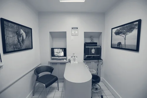 Long Beach Animal Hospital — Long Beach, California
