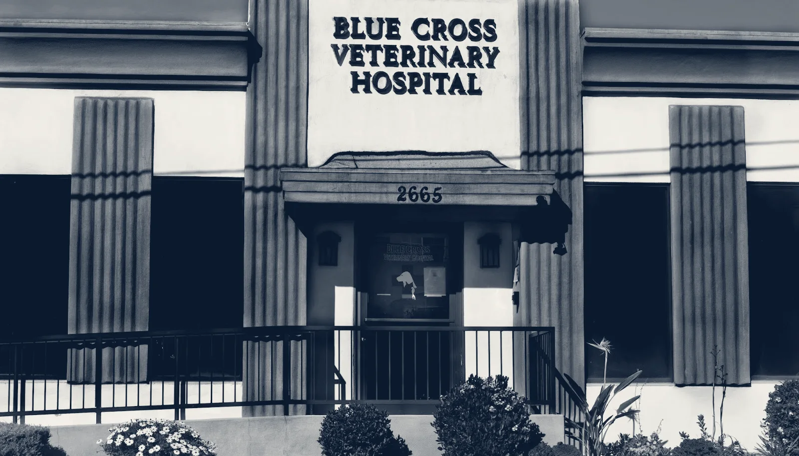 Blue Cross Veterinary Hospital — Signal Hill, California