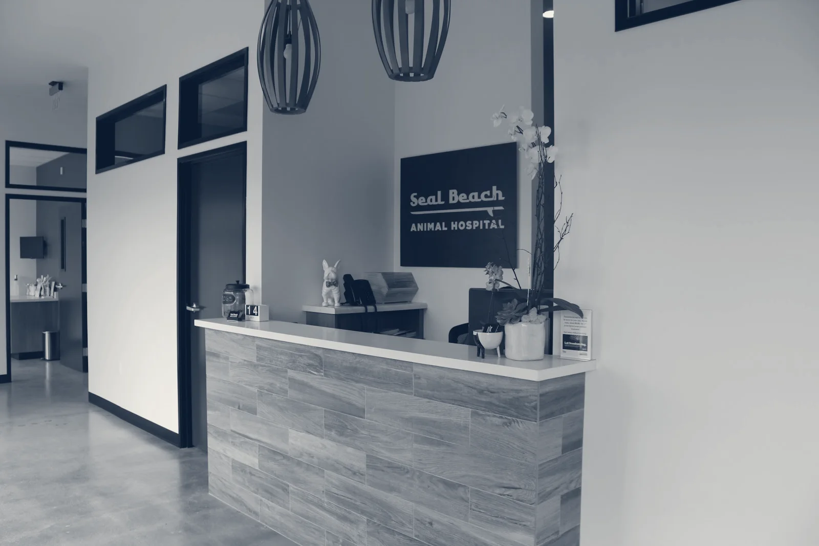 Seal Beach Animal Hospital — Seal Beach, California