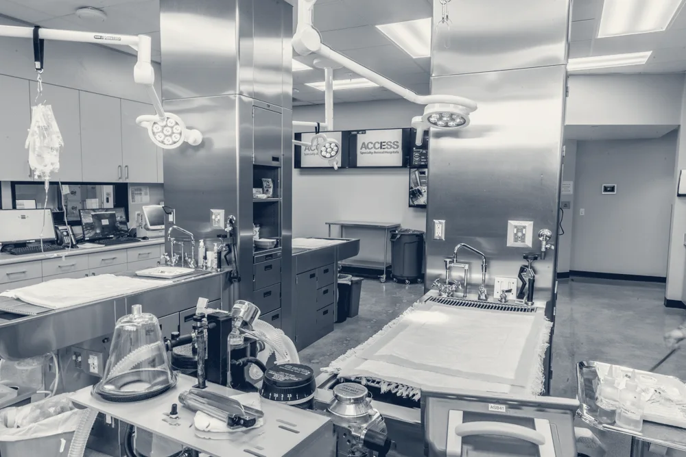 ACCESS Specialty Animal Hospitals - South Bay — Torrance, California