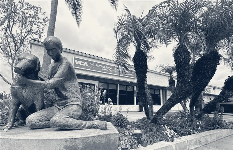 VCA Advanced Veterinary Care Center — Lawndale, California