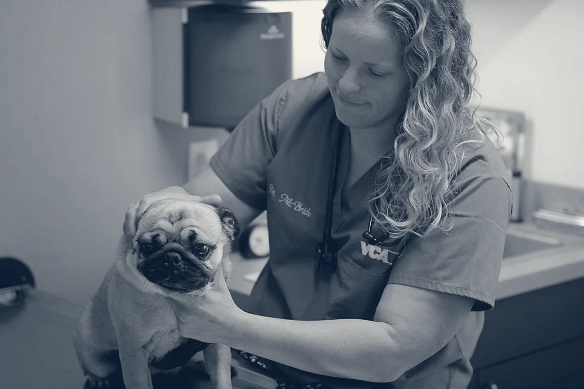 VCA Los Altos Animal Hospital — Long Beach, California