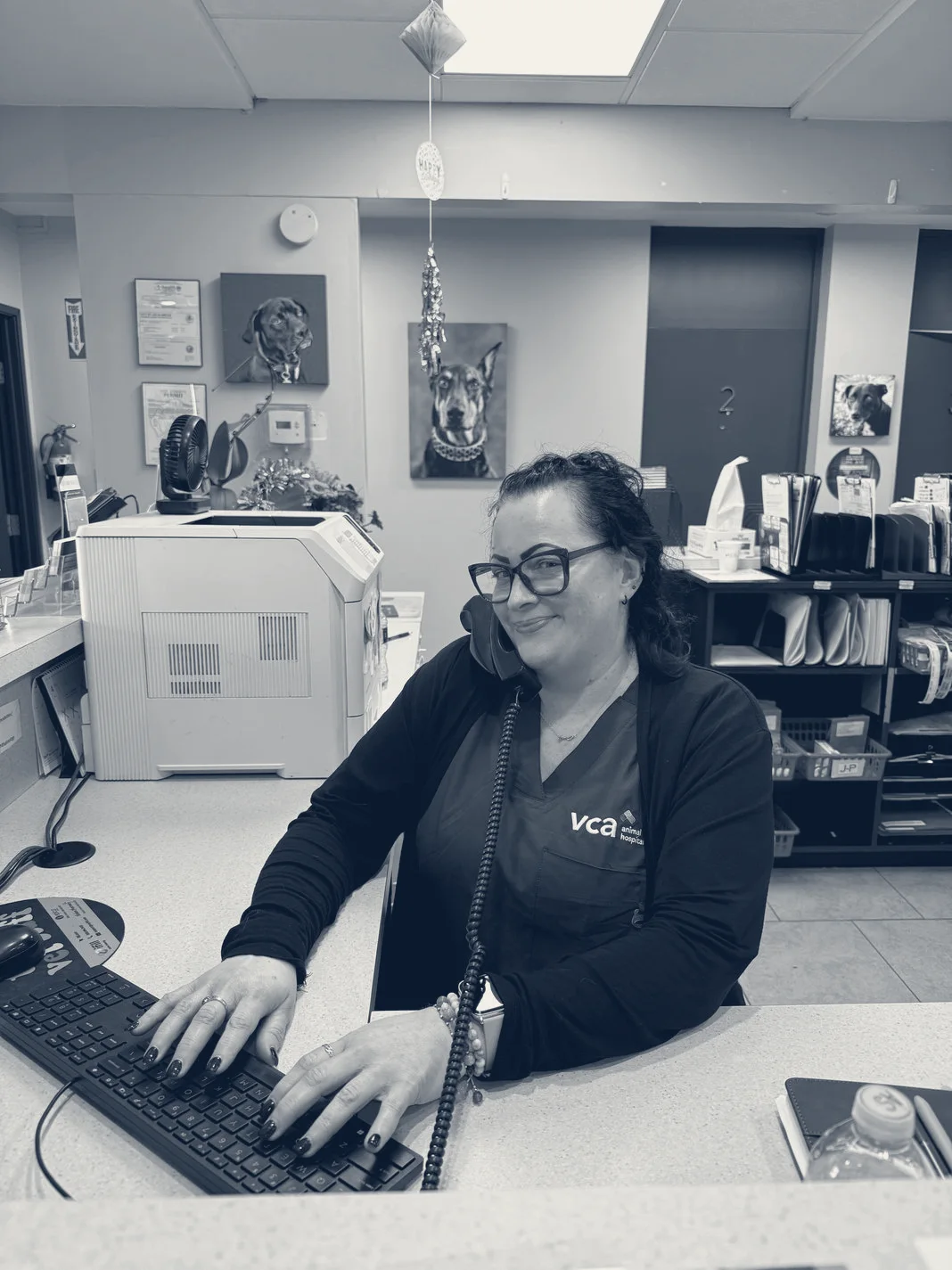 VCA Rossmoor-El Dorado Animal Hospital — Los Alamitos, California