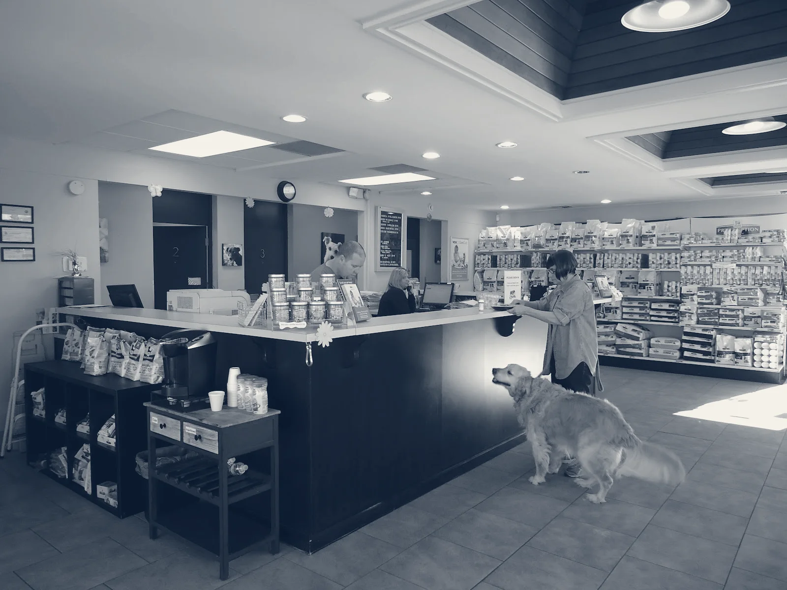 VCA Rossmoor-El Dorado Animal Hospital — Los Alamitos, California