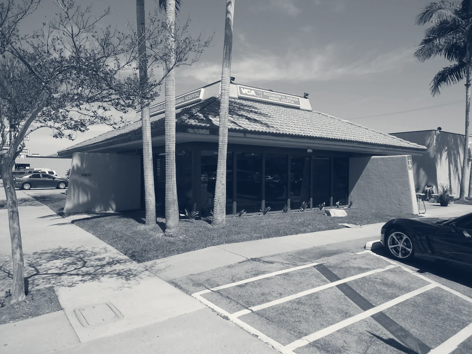 VCA Rossmoor-El Dorado Animal Hospital — Los Alamitos, California