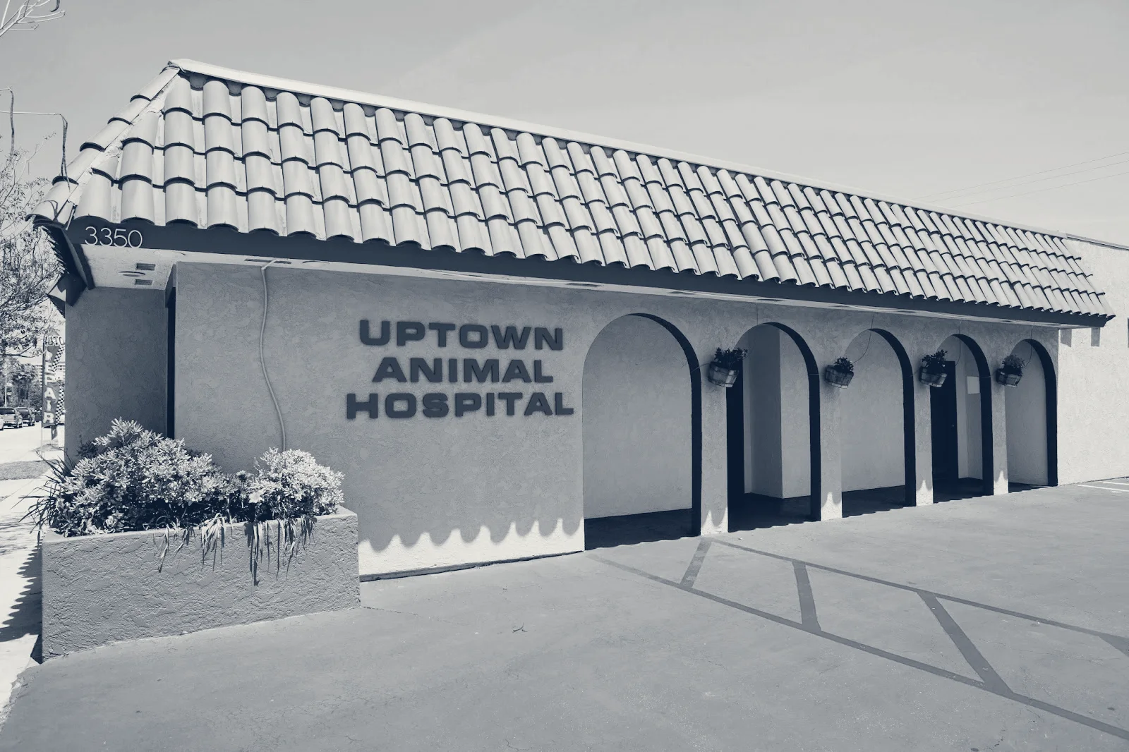 Uptown Animal Hospital Inc — Long Beach, California