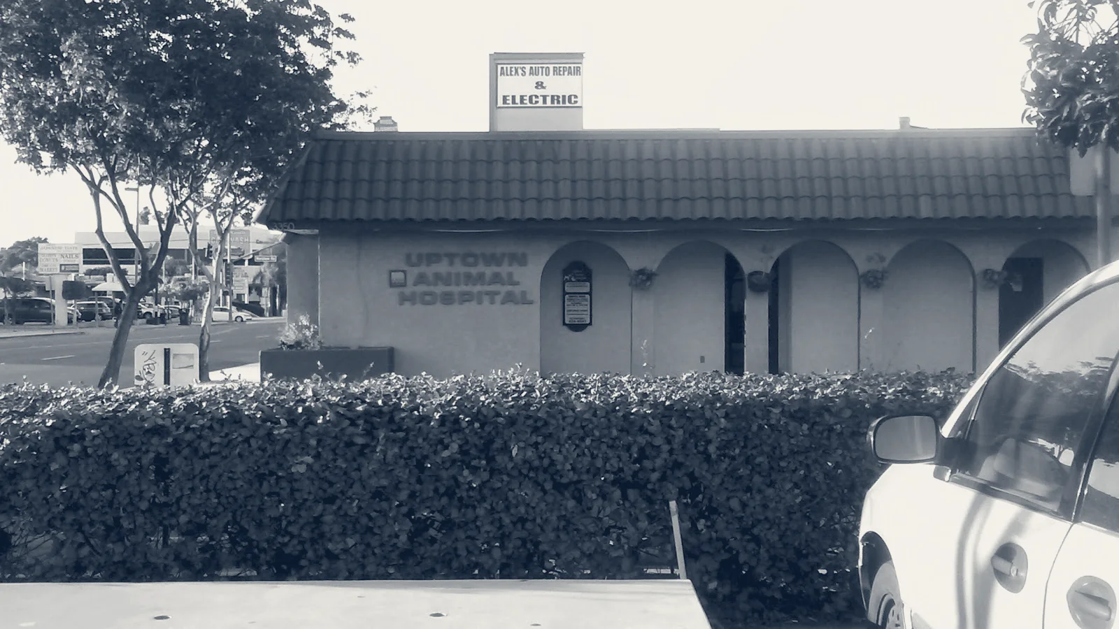 Uptown Animal Hospital Inc — Long Beach, California