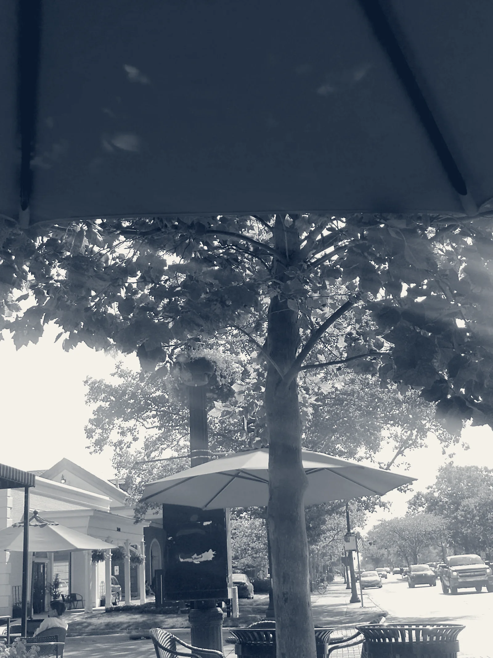 Roman Alexander Salon & Spa — Bexley, Ohio
