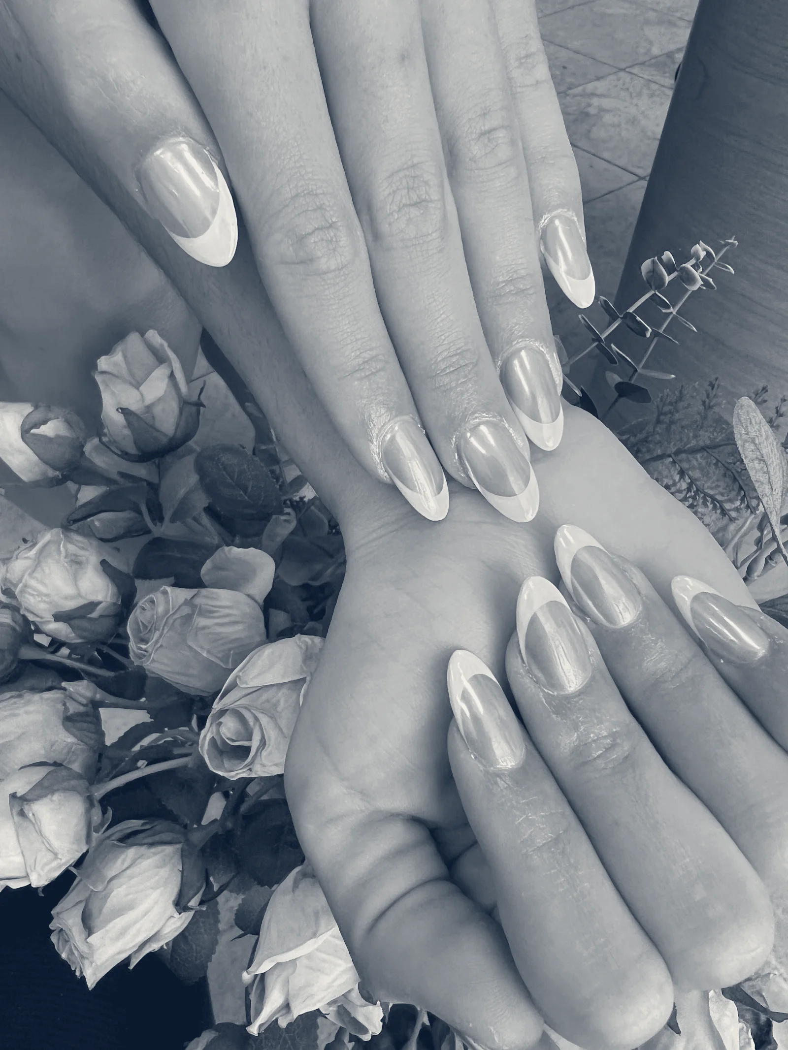 Foxie Nails Lounge — Pickerington, Ohio