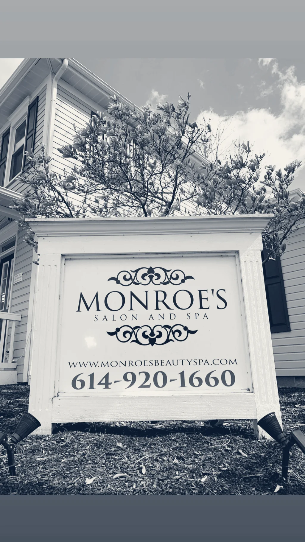 Monroe's Salon and Spa — Pickerington, Ohio