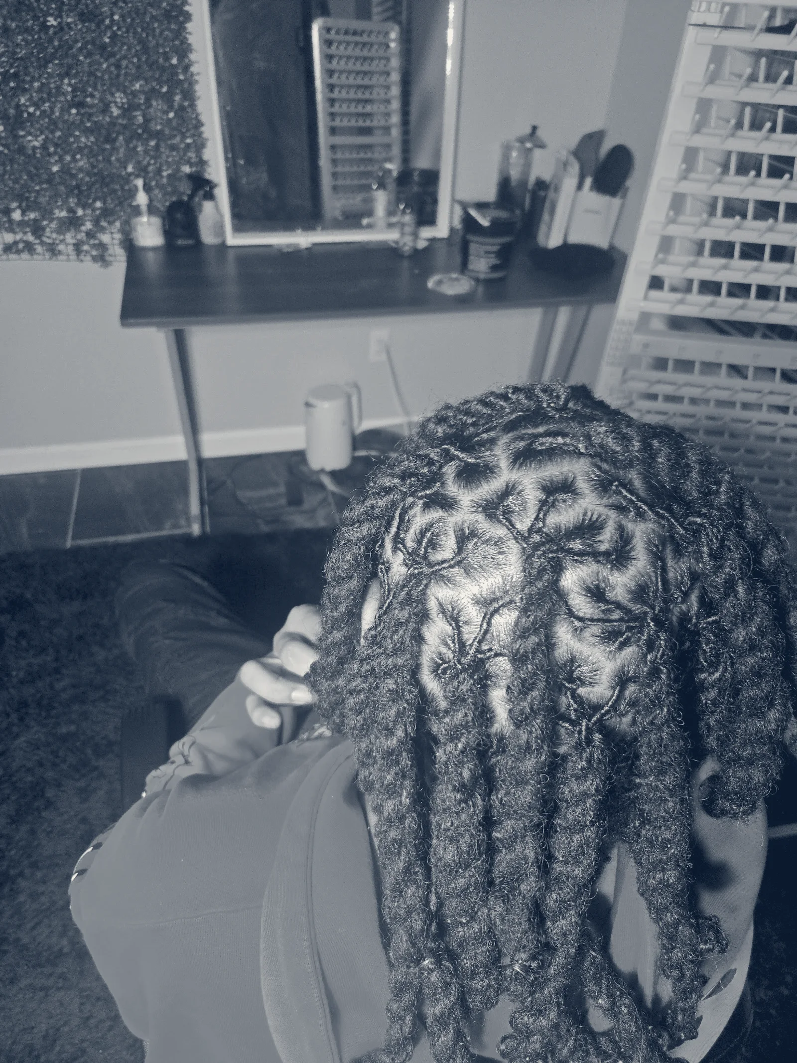 Braidsbyzara — Canal Winchester, Ohio
