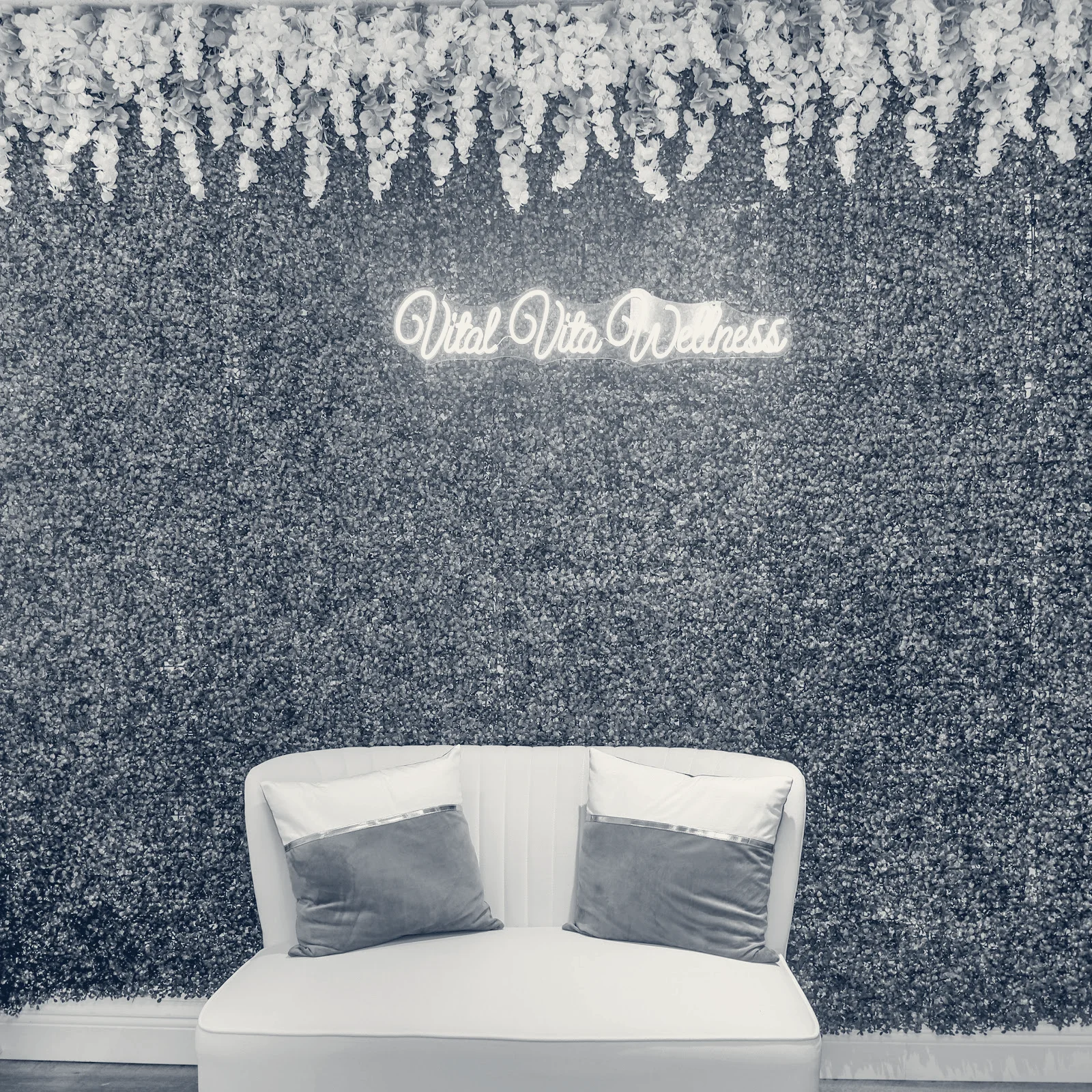 Vital Vita Wellness — West Palm Beach, Florida