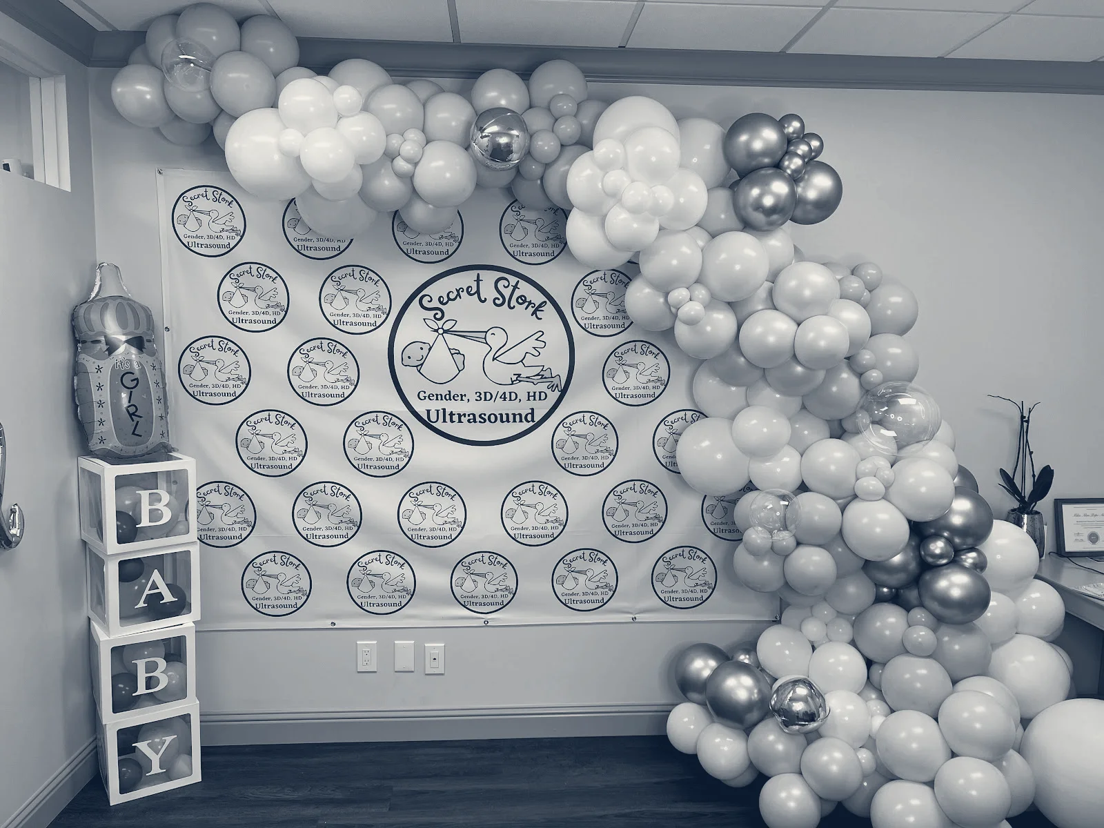 Secret Stork Ultrasound & Pregnancy Spa, Fresno, California