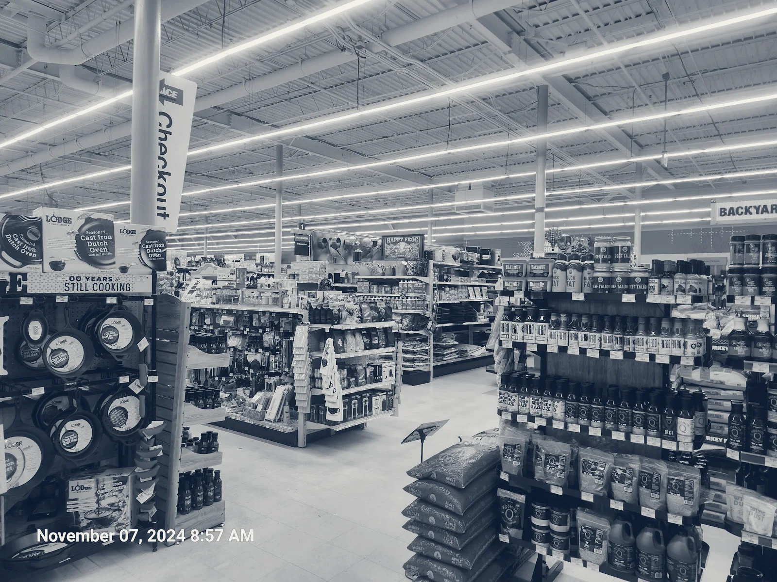 Ace Hardware, Parma, Ohio