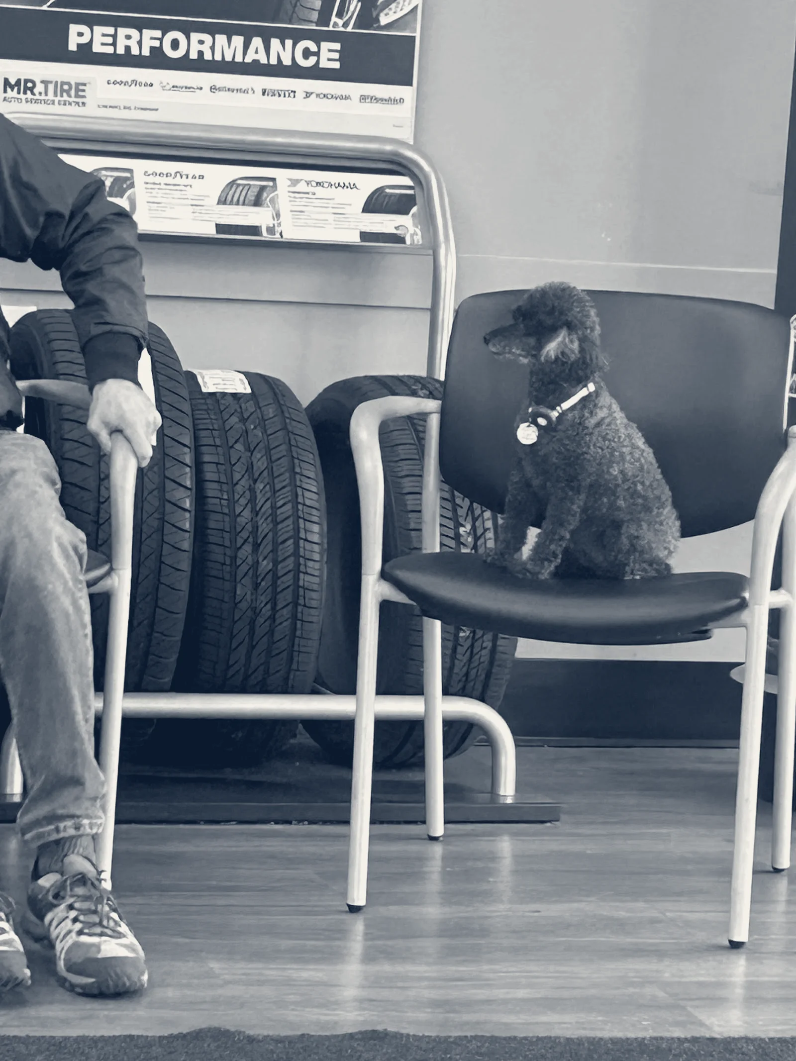 Mr. Tire Auto Service Centers, Solon, Ohio