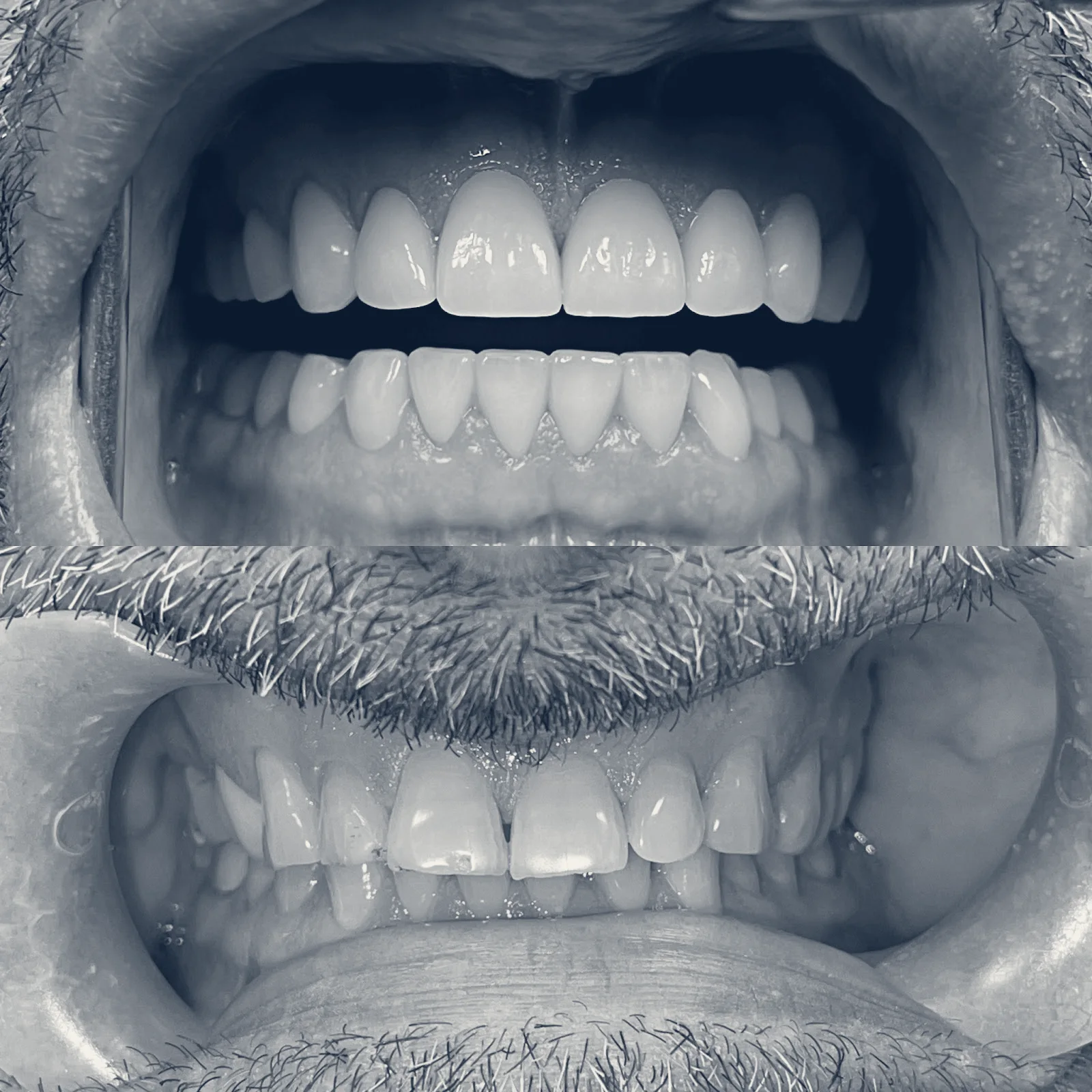 Celebration Family Dental of Carrollton, Carrollton, Texas