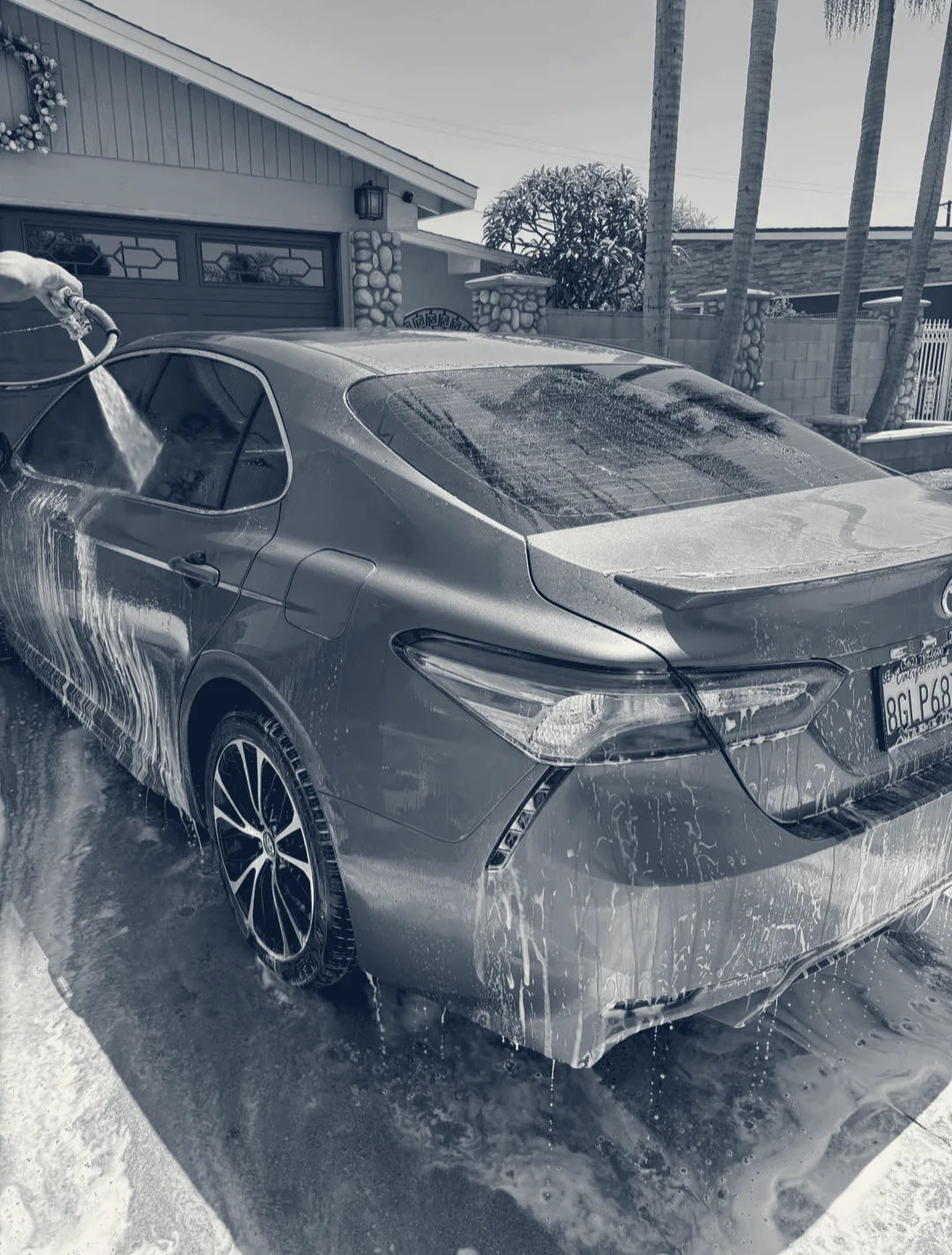 Vetra Car Detailing Garden Grove, Garden Grove, California