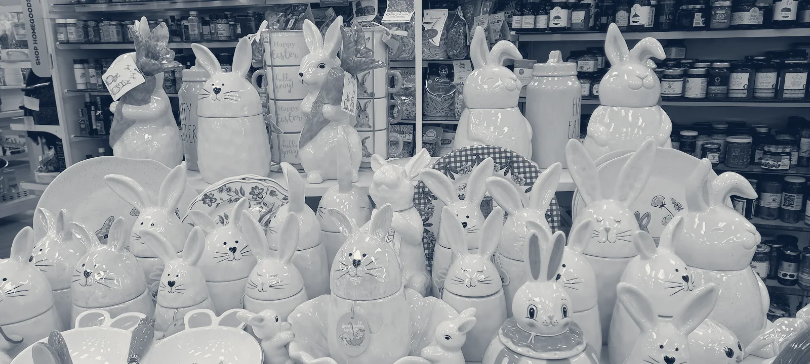 Marshalls & HomeGoods, Mountain View, California