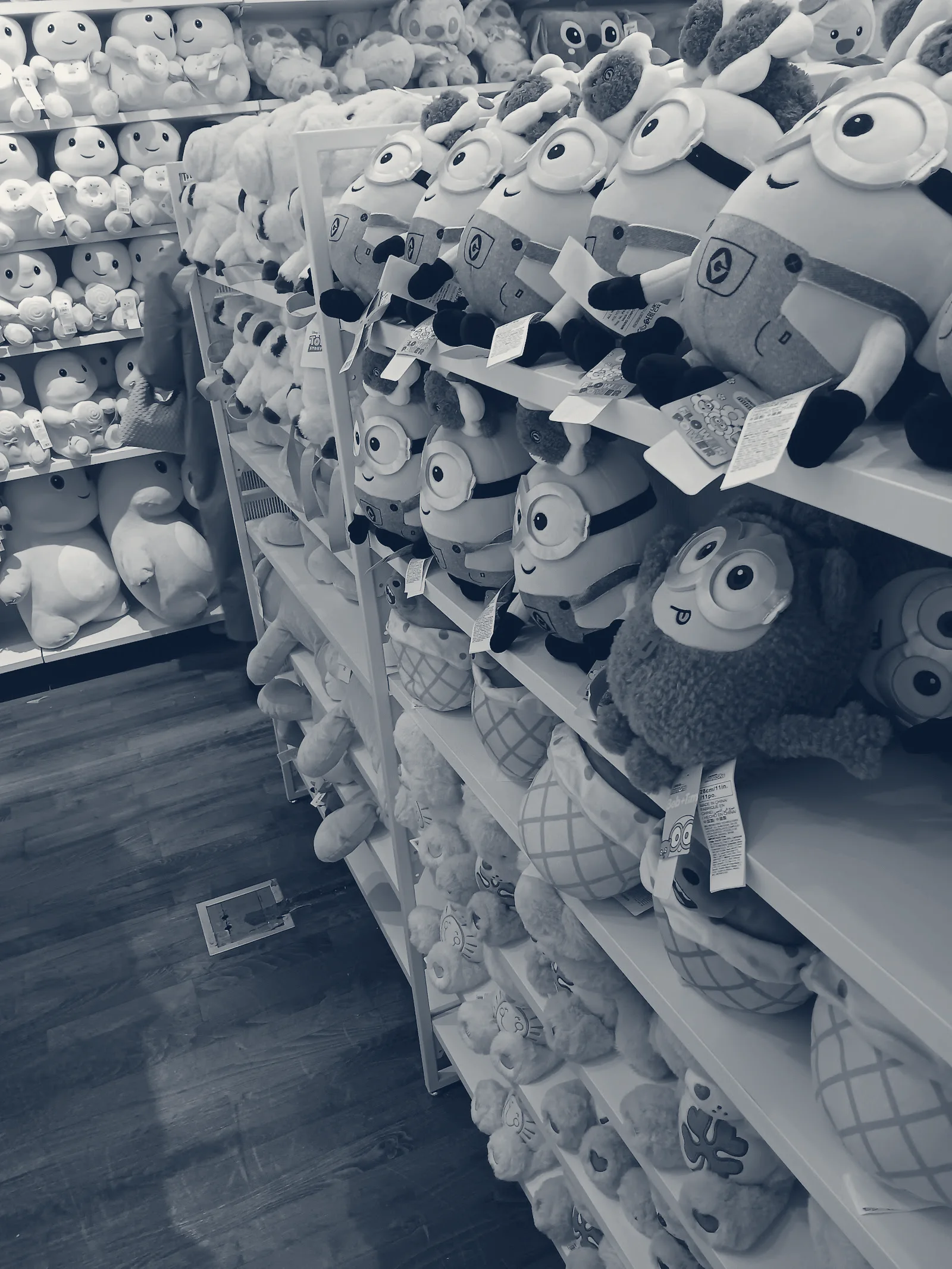 Miniso, Palo Alto, California