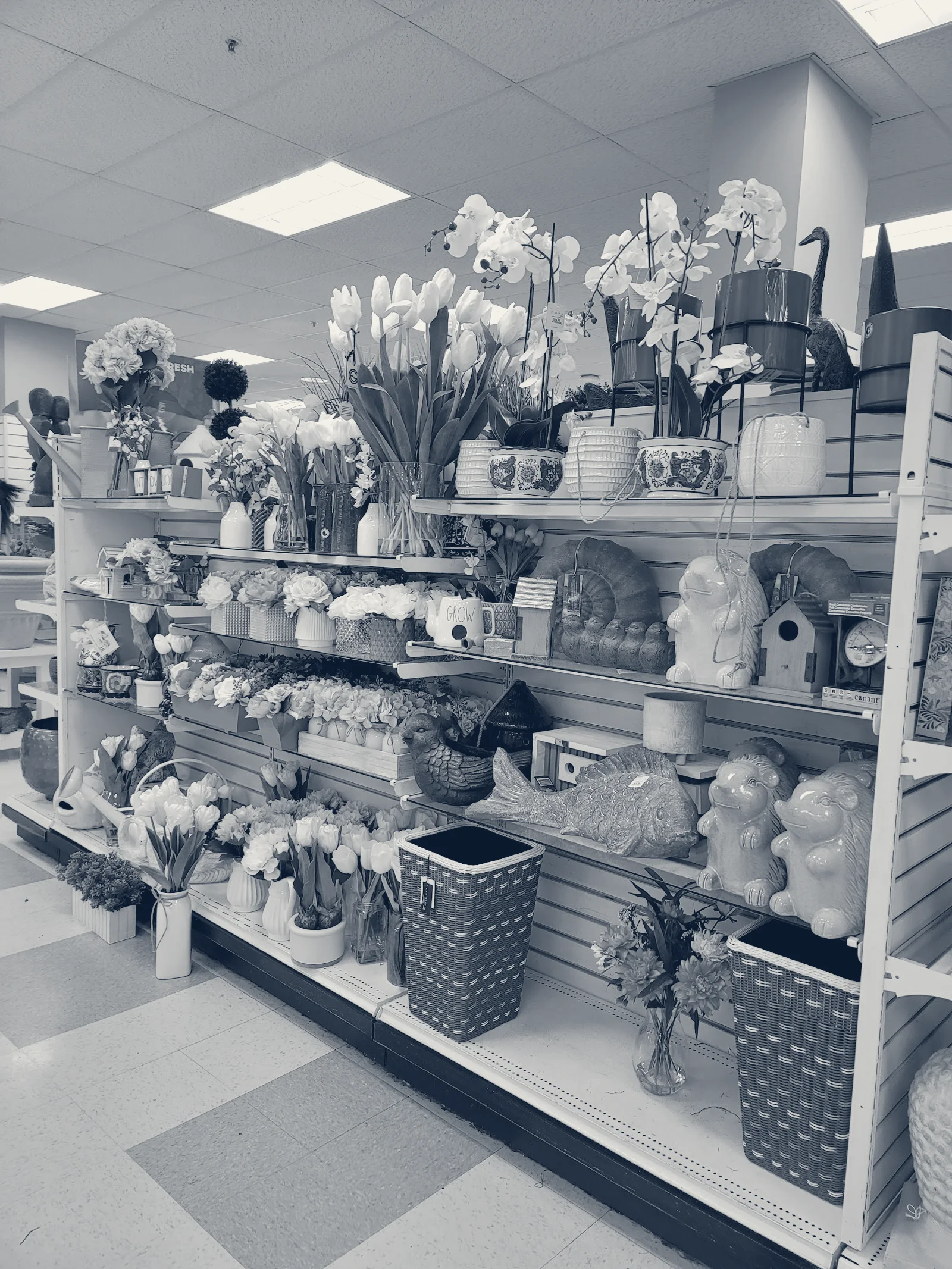T.J. Maxx & HomeGoods, San Jose, California