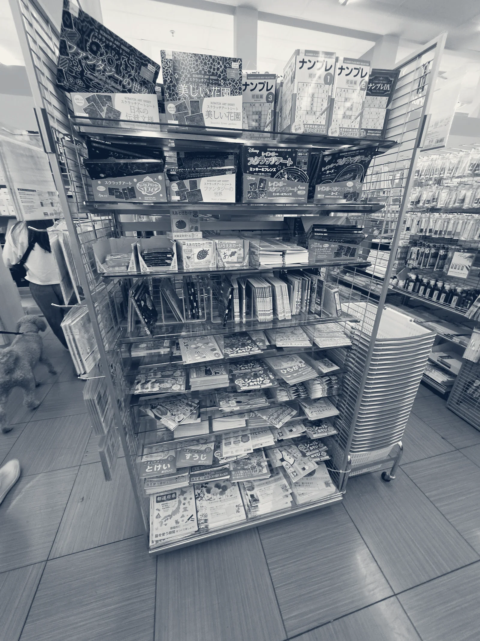 Daiso - Japanese Household Goods, Cupertino, California